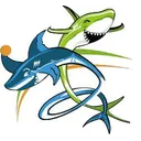 logo Handball Club Grabellois