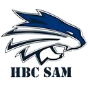 logo Handball Club Soisy / Andilly / Margency