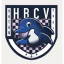 logo Handball Club Vatan