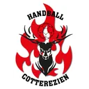 logo Handball Cotterezien
