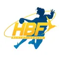 logo Handball Feminin Saint Denis