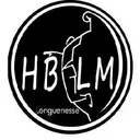 logo Handball Longuenesse Maillebois