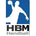 logo Handball Mortainais
