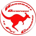 logo Handball Olympique le Puy Chadrac
