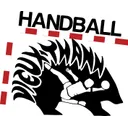 logo Handball Vieux Thann