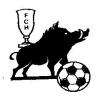 logo FC D'haraucourt