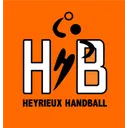 logo Heyrieux Handball