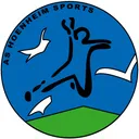logo Hoenheim