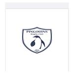 logo Les Pingouins Rugby Club