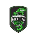 logo Lille Metropole - Handball Club Villeneuve D'ascq