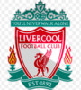 logo Livercool FC