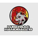 logo Lubersac Handball 19