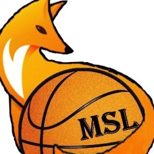 logo Minervois Sports et Loisirs 1