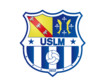 logo Mont St Martin Usl 1