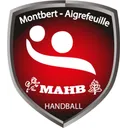 logo Montbert-aigrefeuille Handball