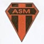 logo A S Montfortoise