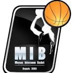 logo Moyaux Intercomm Basket