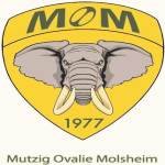 logo Mutzig Ovalie Molsheim