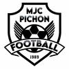 logo NANCY PICHON MJC 38
