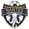logo NANTES METROP FUTSAL 1
