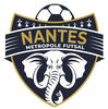 Nantes Metropole F. Seniors Futsal 1
