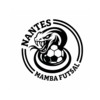 logo Nantes Mamba Futsal