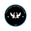 logo NANT'EST FOOTBALL CLUB