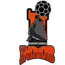 logo Narbonne Handball