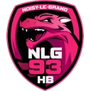 logo Noisy-le-grand Handball