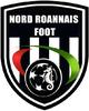 logo Nord Roannais Foot