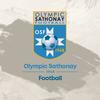 logo O. Sathonay-camp 1