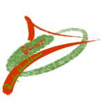 logo Olivet Rugby Academie