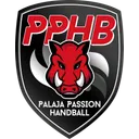 logo Palaja Passion Handball
