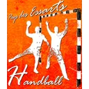 logo Pays des Essarts Handball