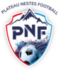 logo PNF 21