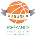 logo Pocé les Bois Basket