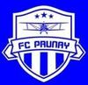 logo PRUNAY FC 21