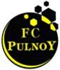 logo PULNOY FC 22