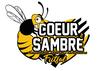 logo Rousies Coeur de Sambre