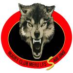 logo Rugby Club de Meru les Sablons