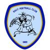logo SACY F.C. 1