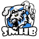 logo Saint Mitre Handball