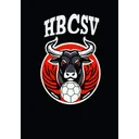 logo Saint Vaury Handball Club