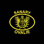 logo Sanary Ovalie