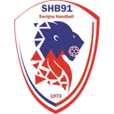 logo Savigny HB 91