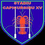 logo Stadiu Capicursinu XV