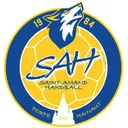 logo St Amand Handball - Porte du Hainaut