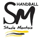 logo Stade Montois