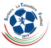 logo S.T.F 21
