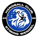 logo Stiring